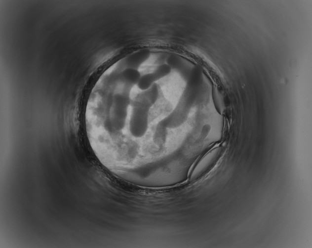 X0000086791213200705111808