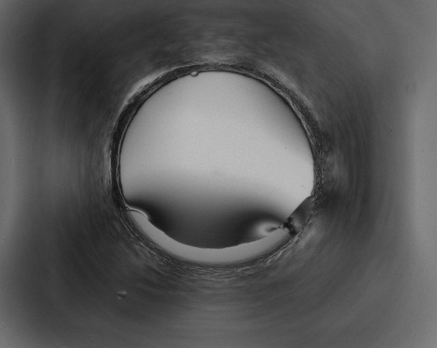 X0000086791214200705111808