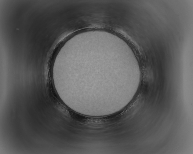 X0000086791215200705111808