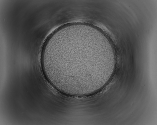 X0000086791216200705111808