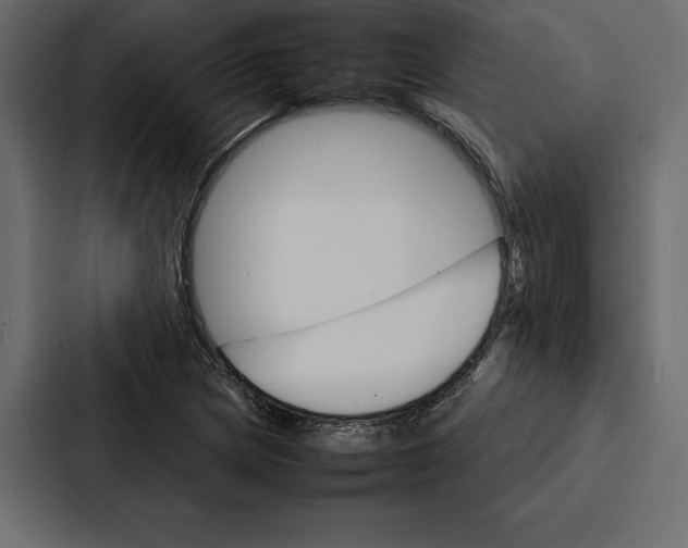 X0000086791217200705111808