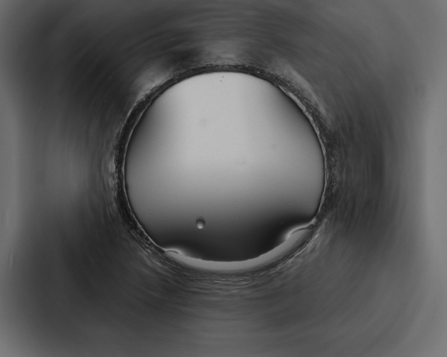 X0000086791218200705111808