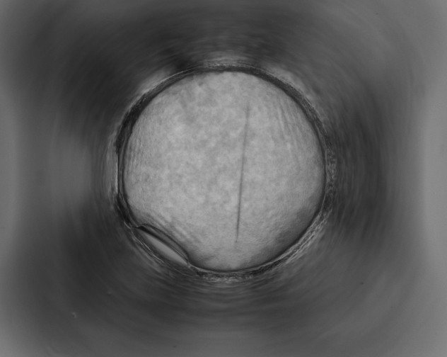 X0000086791219200705111808