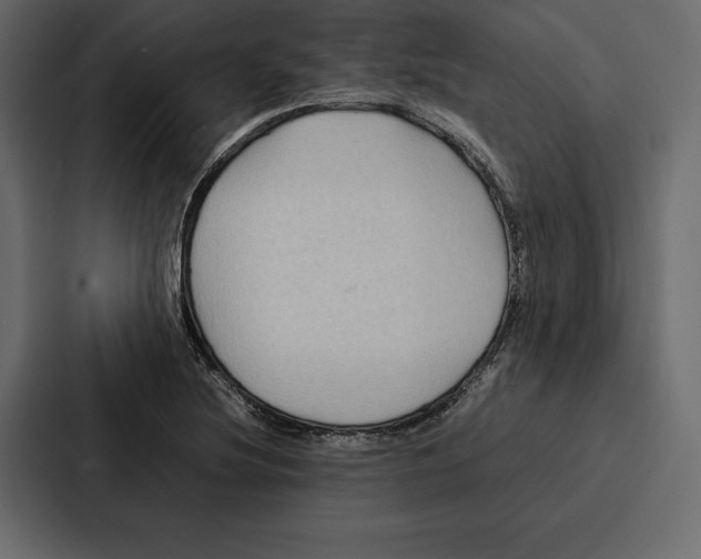 X0000086791220200705111808