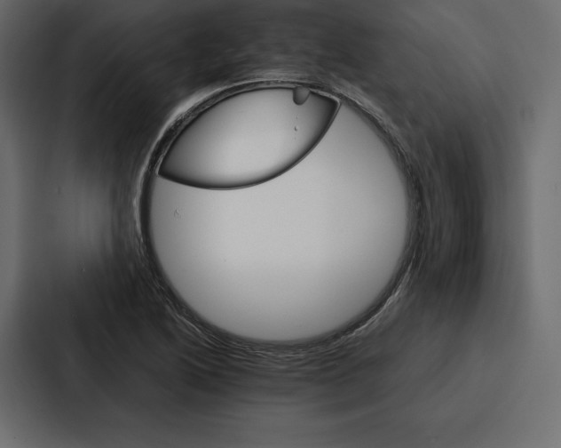 X0000086791222200705111809