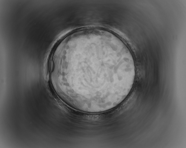 X0000086791223200705111809