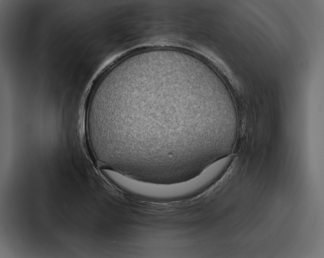 X0000086791224200705111809