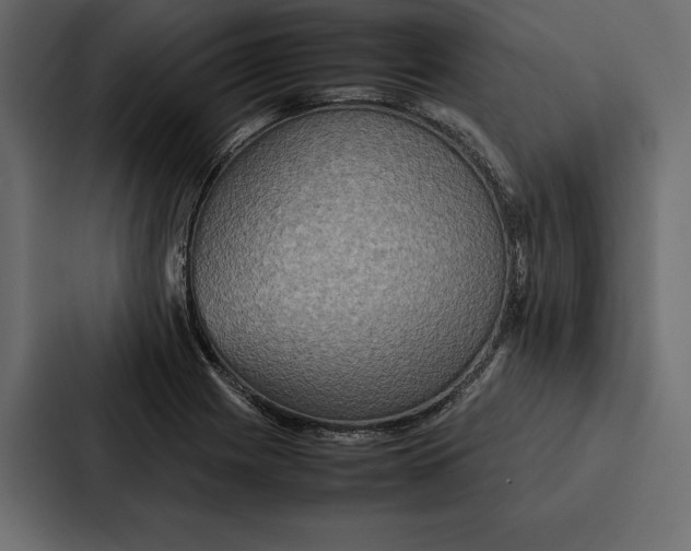 X0000086791225200705111809