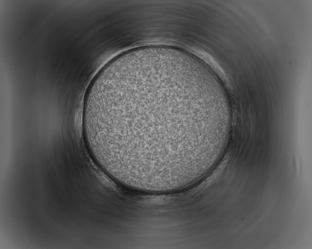 X0000086791228200705111809