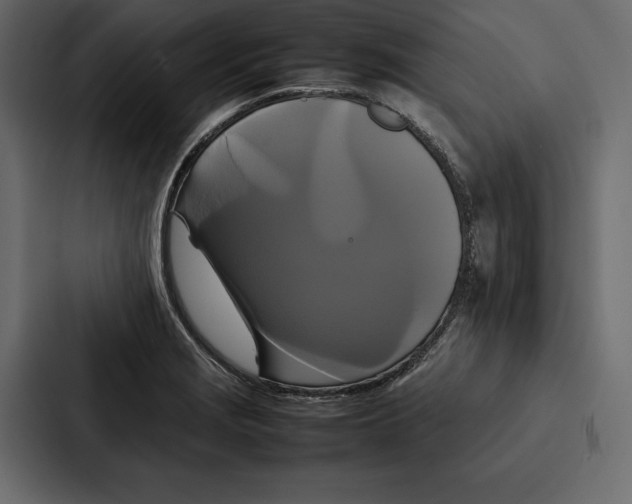 X0000086791229200705111809