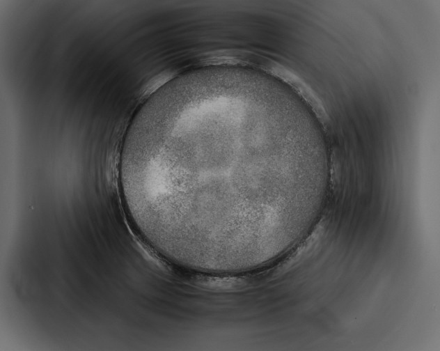 X0000086791233200705111809