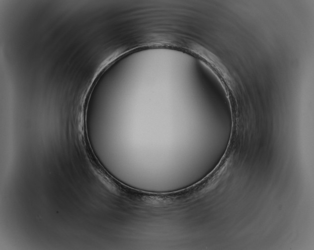 X0000086791234200705111809