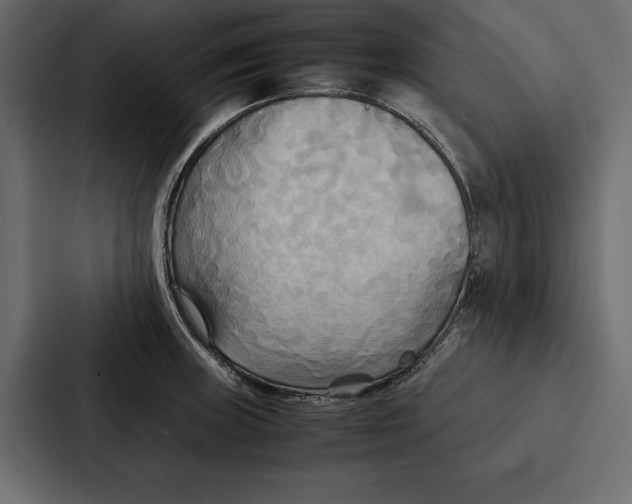 X0000086791235200705111809