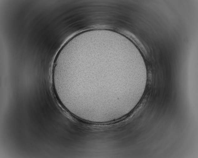 X0000086791236200705111809