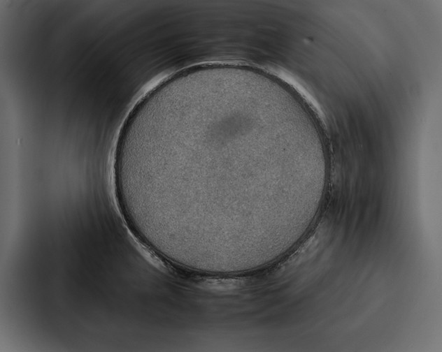 X0000086791237200705111809