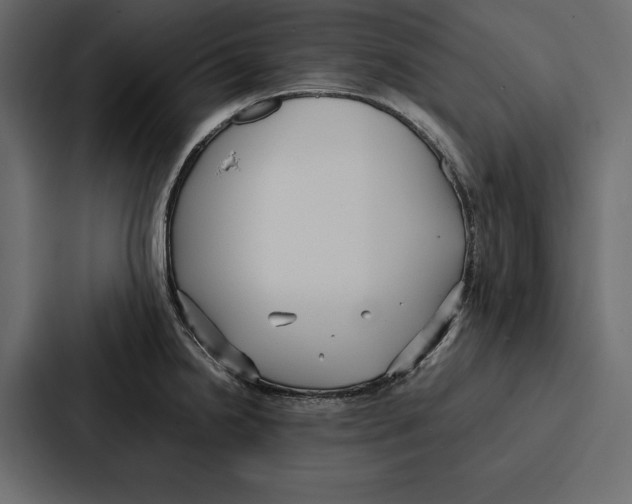 X0000086791238200705111809