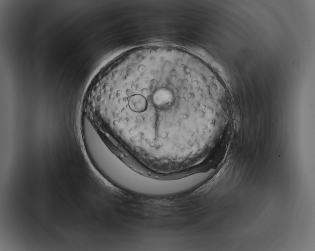 X0000086791239200705111809