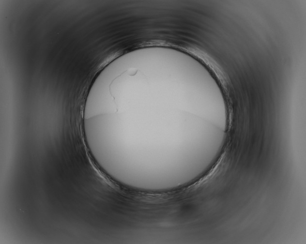 X0000086791241200705111809