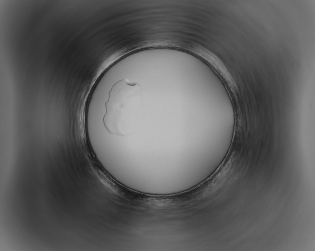 X0000086791242200705111809