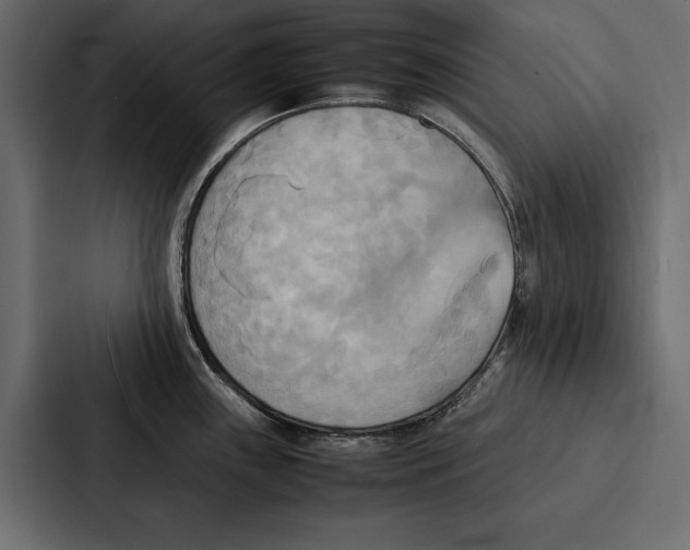 X0000086791243200705111809