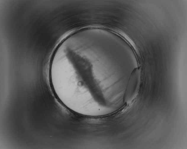 X0000086791245200705111809