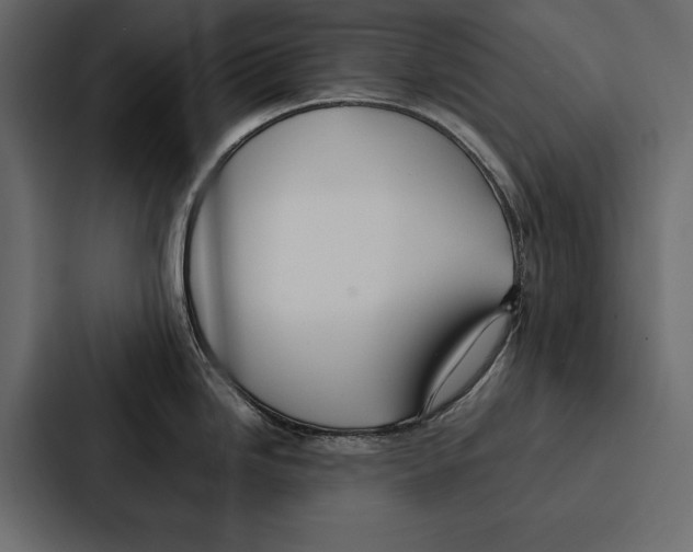 X0000086791246200705111809