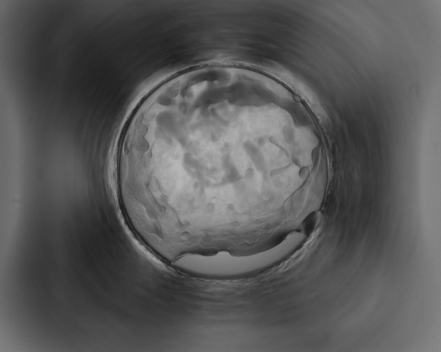 X0000086791247200705111809