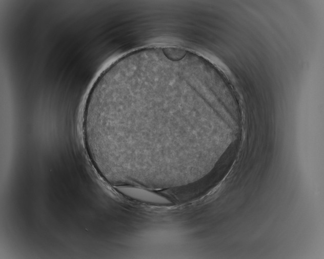 X0000086791248200705111809