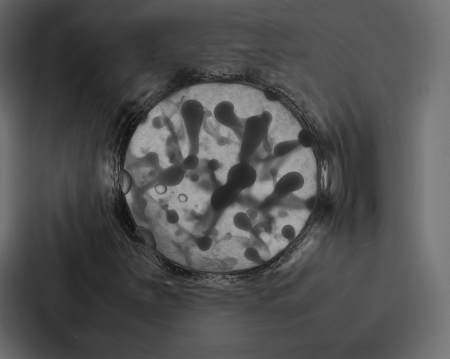 X0000086791251200705111808