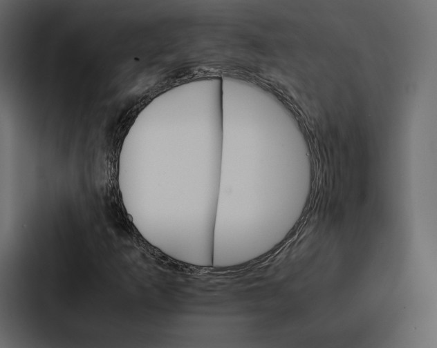 X0000086791253200705111808