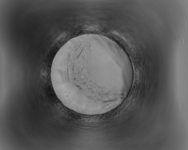 X0000086791254200705111808