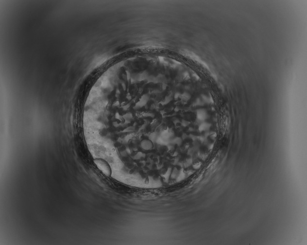 X0000086791255200705111808