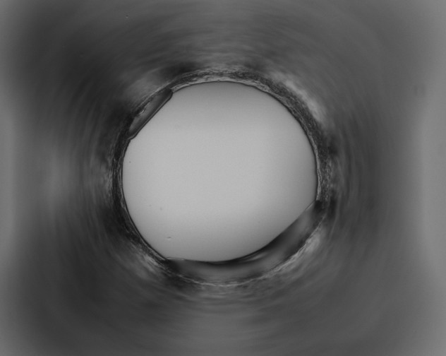 X0000086791257200705111808