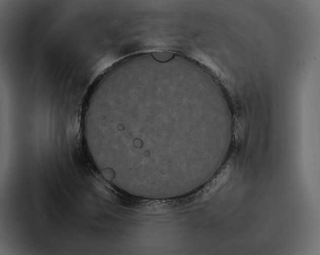 X0000086791259200705111808