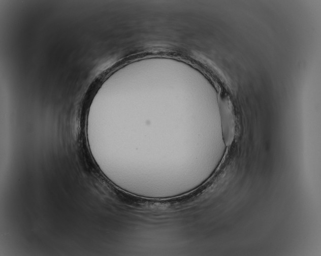 X0000086791261200705111808