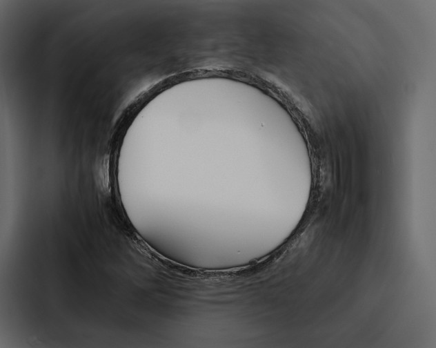 X0000086791262200705111808