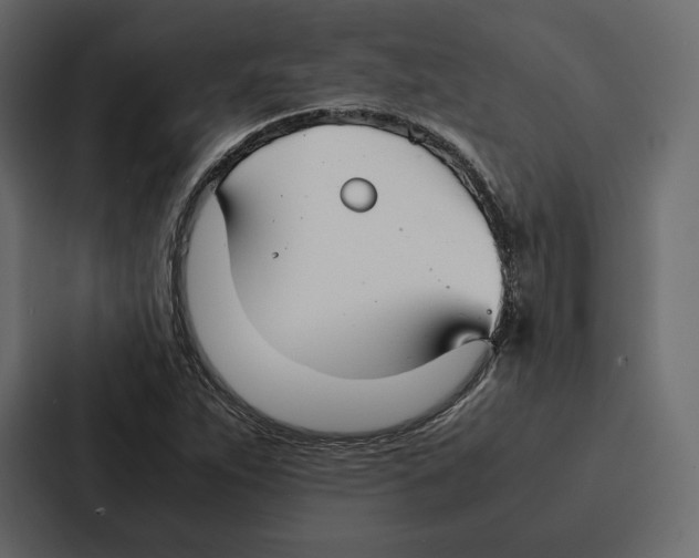 X0000086791263200705111808