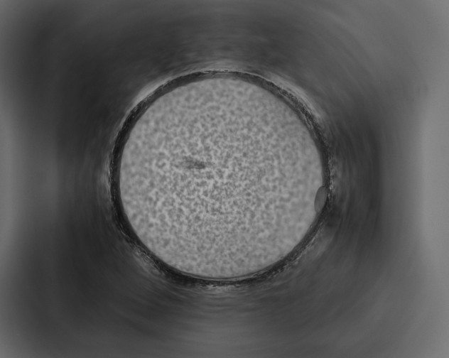 X0000086791264200705111808