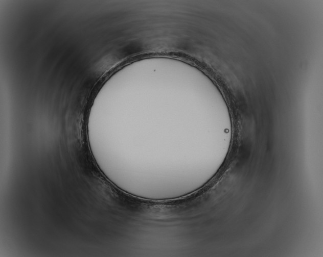 X0000086791265200705111808