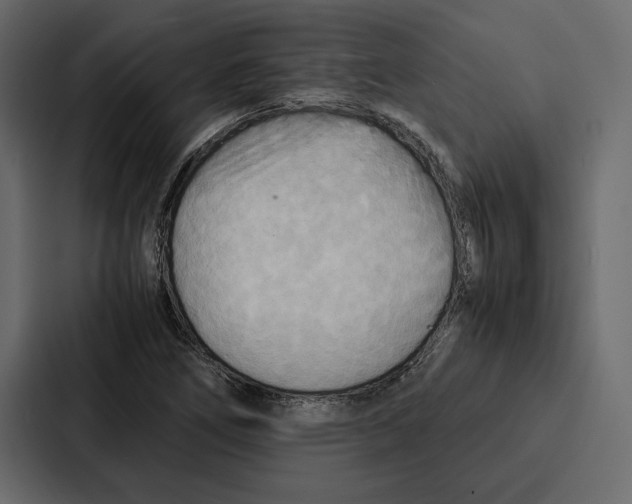 X0000086791266200705111808