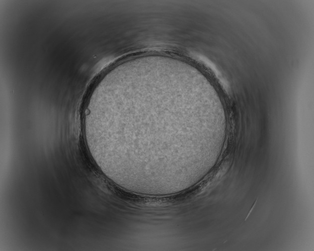 X0000086791267200705111808