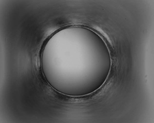 X0000086791269200705111808