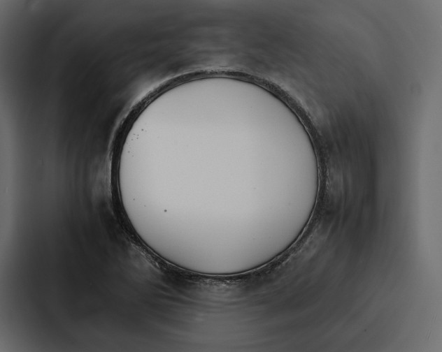 X0000086791270200705111808