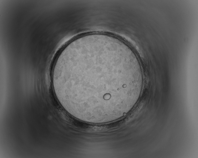 X0000086791271200705111808