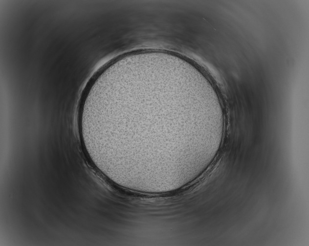 X0000086791272200705111808