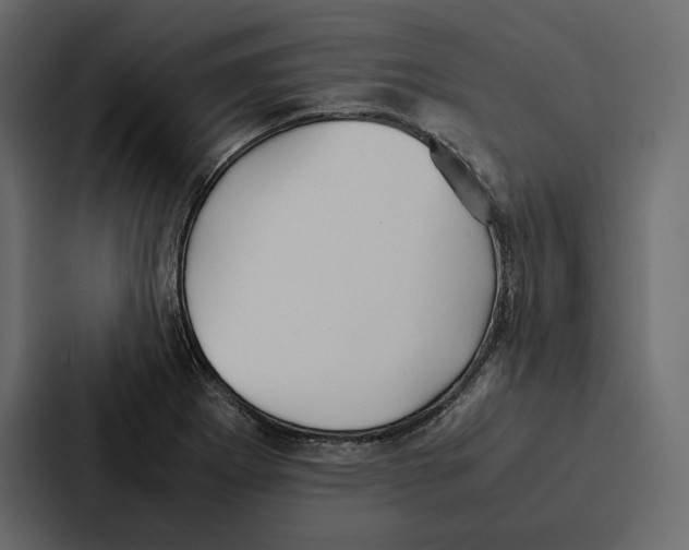 X0000086791273200705111808