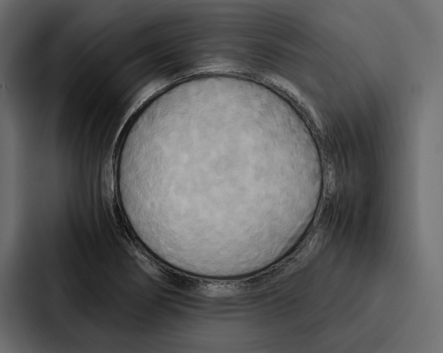 X0000086791274200705111808