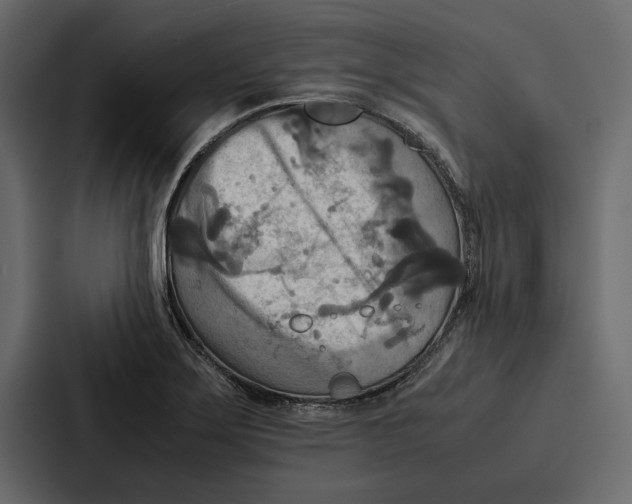 X0000086791275200705111808