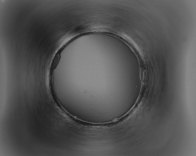 X0000086791277200705111808