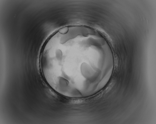 X0000086791278200705111808